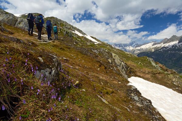 Chasse aux cristaux à l’Oberaar