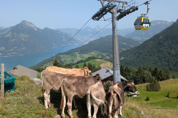 Familienfreundliche Wanderung um den Klewenstock