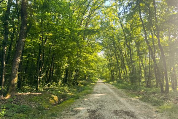 Côté nature et côté ville
