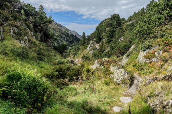 Le sentier muletier du Susten
