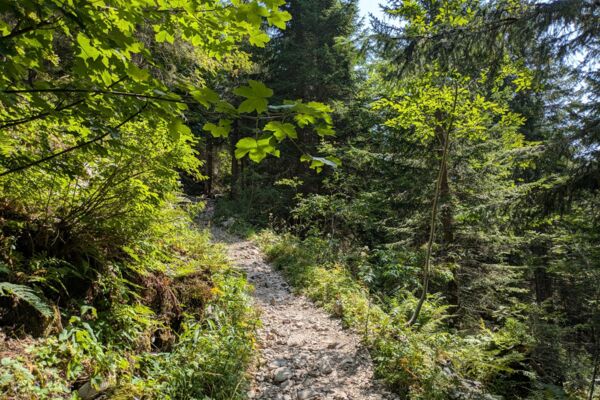 Familienfreundliche Wanderung um den Klewenstock