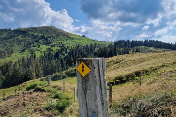 Sur l’arête du Cousimbert