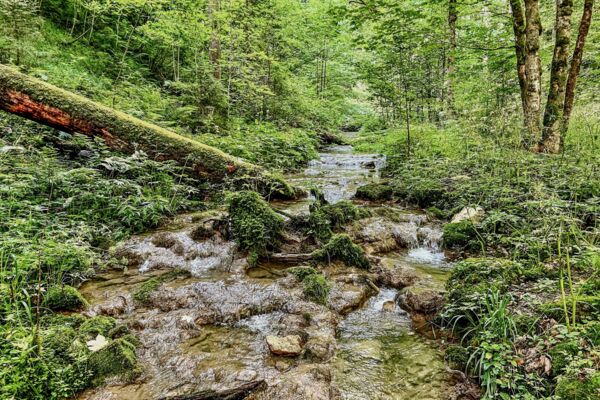Dem Lauf des Tabeillon entlang