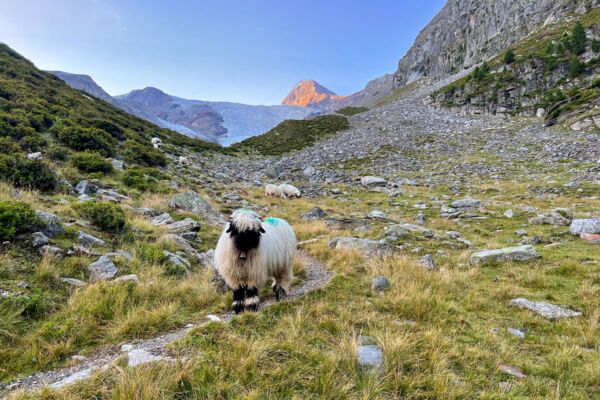 Sur le plus haut chemin pédestre de Suisse