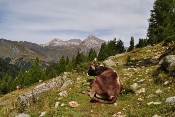 Zu den Surettaseen hoch über Splügen