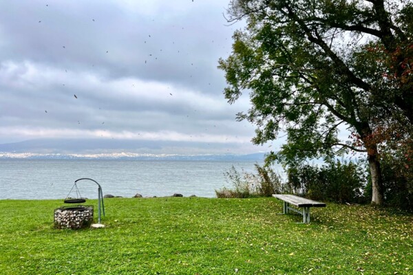 Wandern und beobachten in La Sauge
