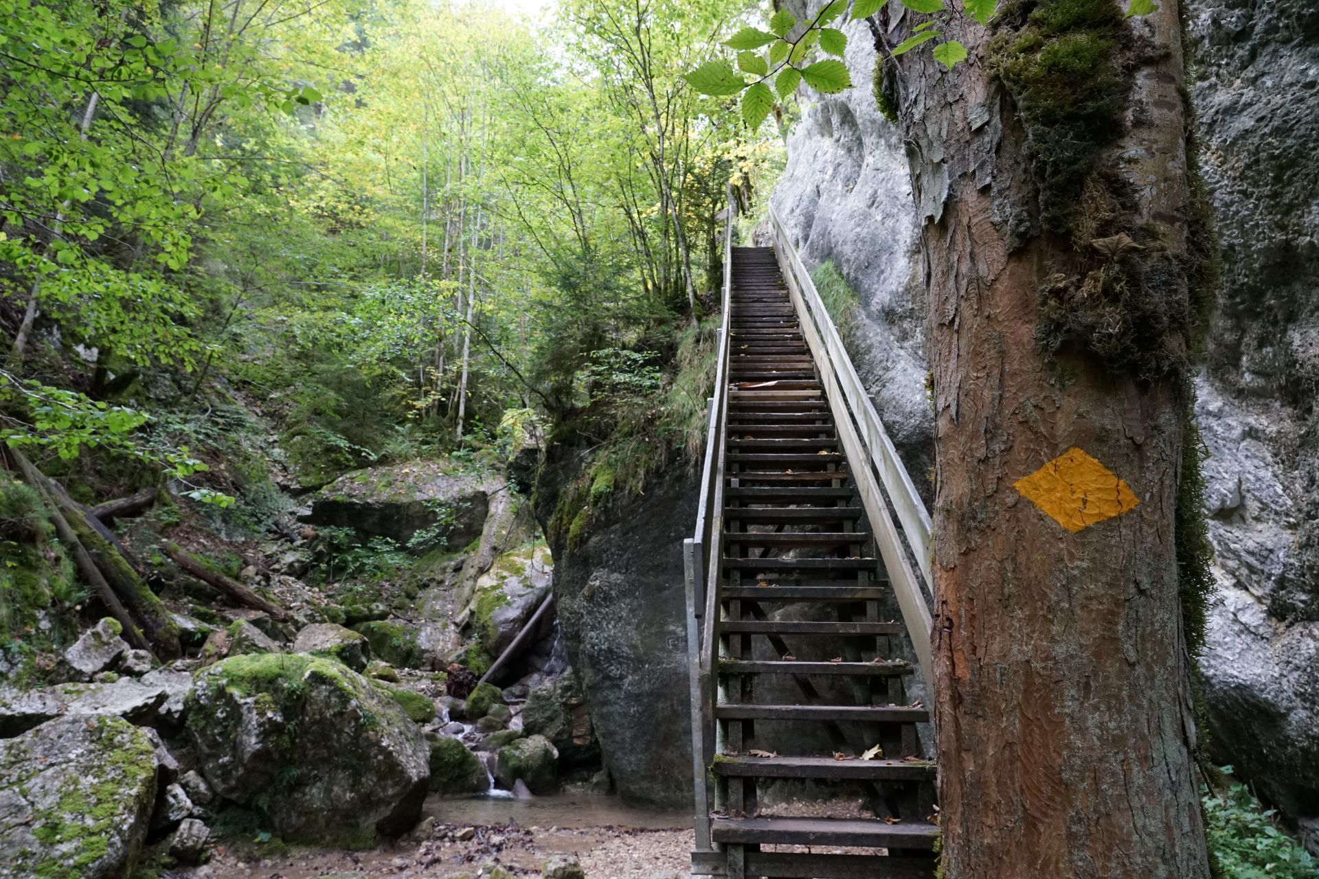 8 Gorges