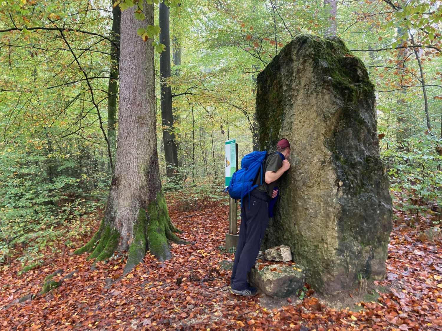 Une pierre sonore dans le Banwald