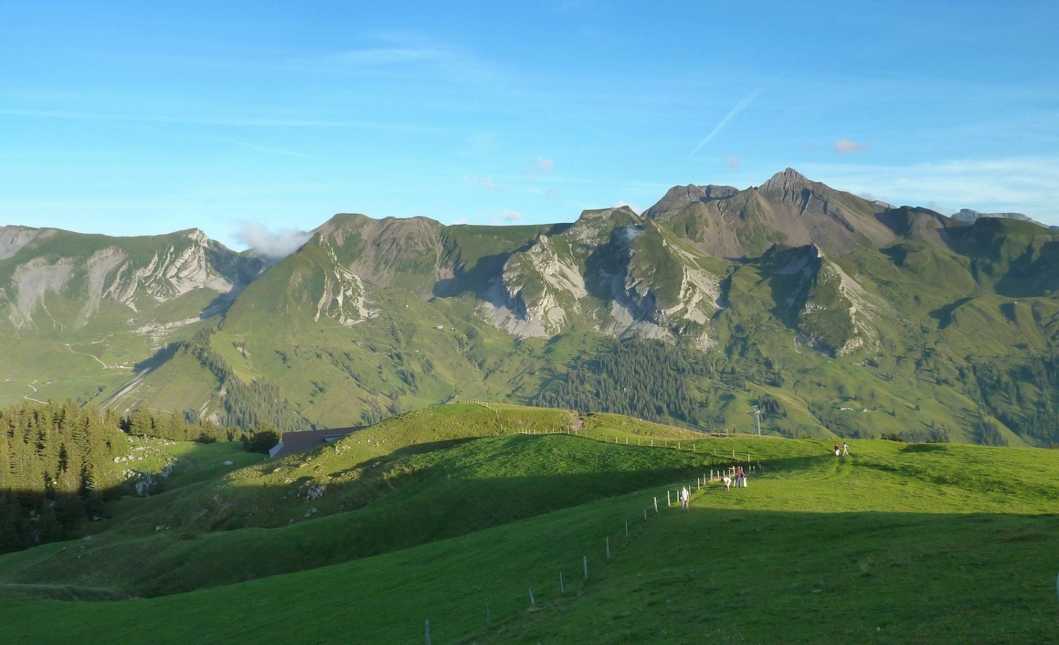 Foto: K. Lüönd