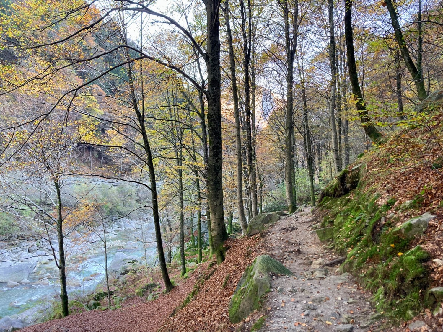 Peu avant Lavertezzo