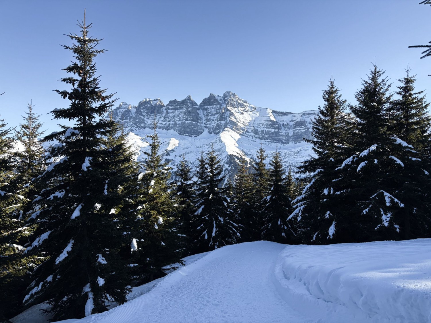 Une descente assez raide par la forêt