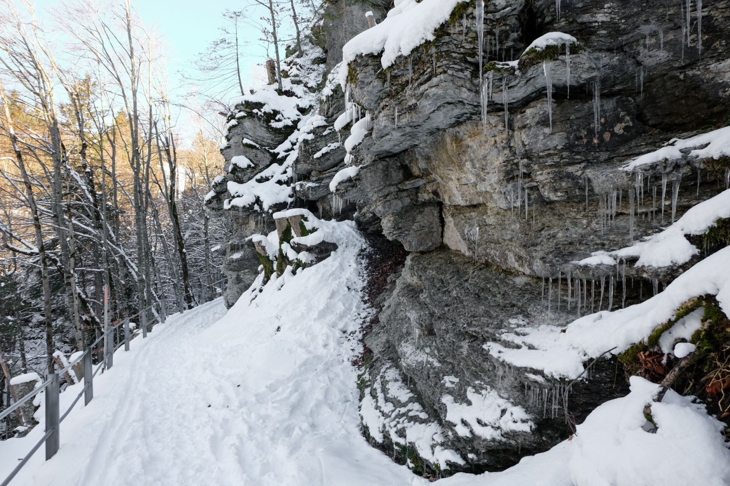 Dans le fossé du Vorderbergtobel. Une passerelle va franchir le Fallenbach.