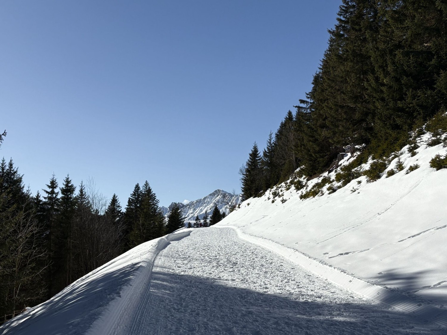 Le chemin est large et bien préparé.
