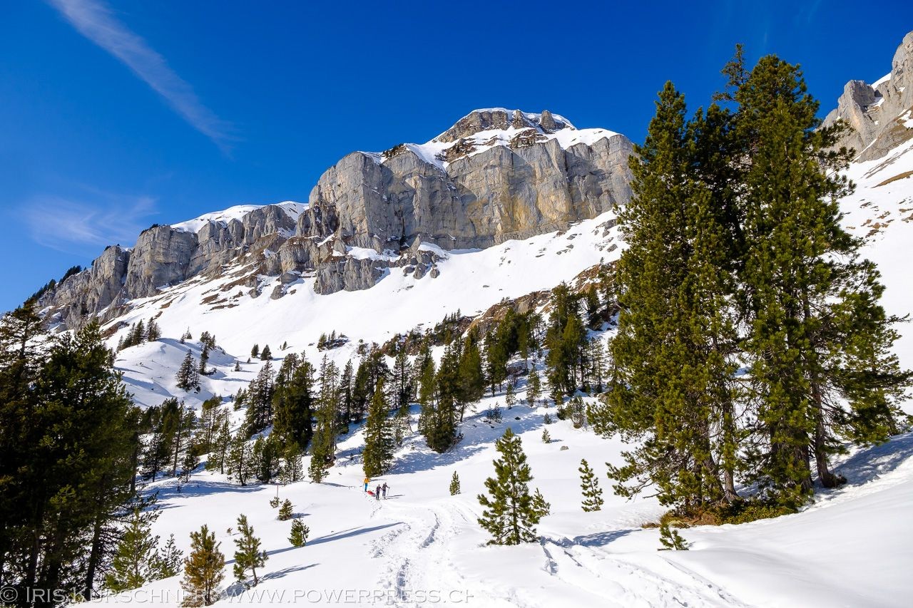Le massif du Hohgant dans le dos, le chemin monte jusqu’à la cabane du même nom.