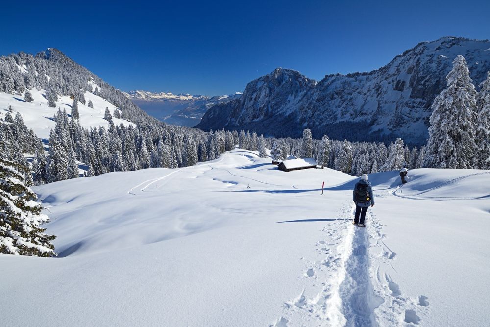A gauche les Préalpes, à droite les Alpes et la petite vallée au milieu