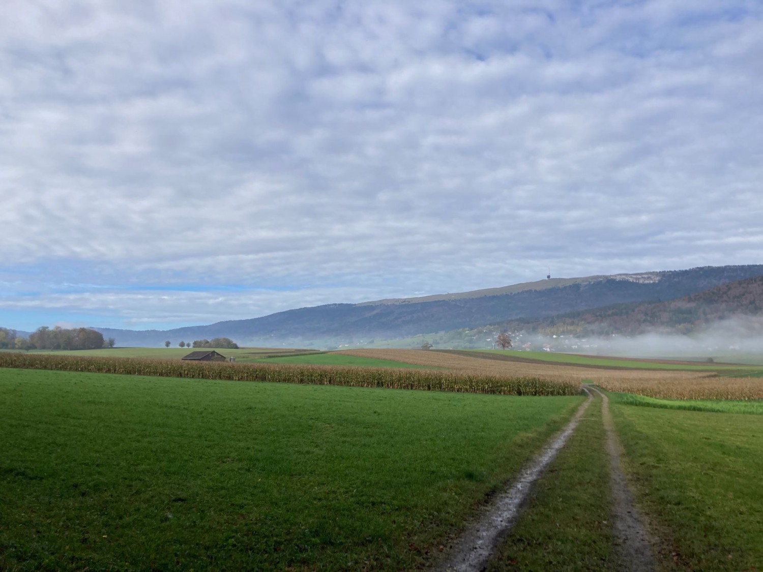 Vue sur le Chasseral