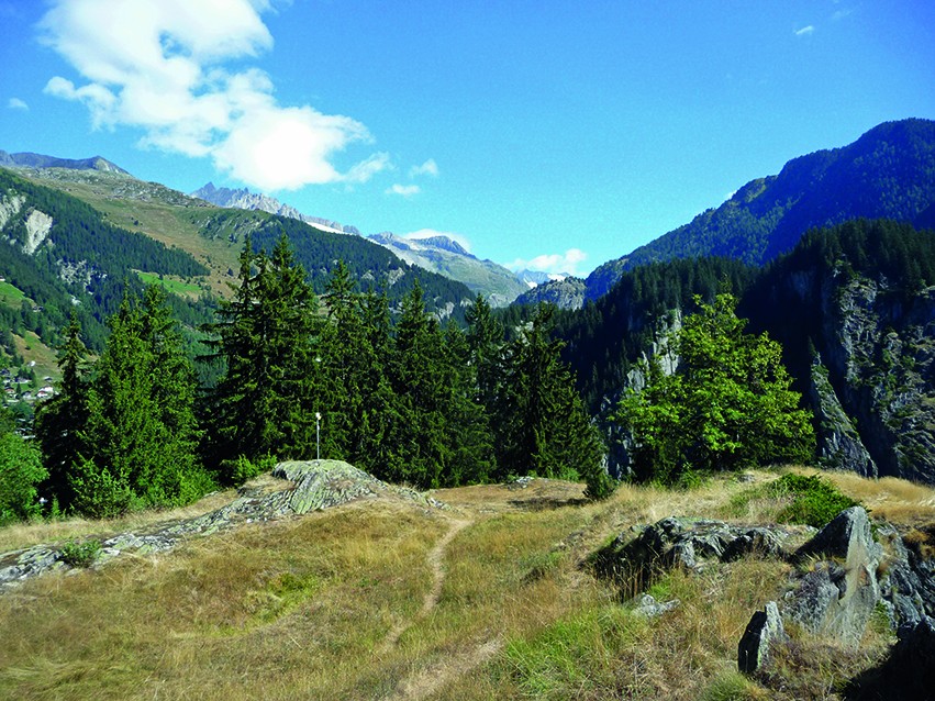 Auf dem Blindbärgji mit Blick in die Ferne zur Aletschregion.
Bilder: Werner Forrer