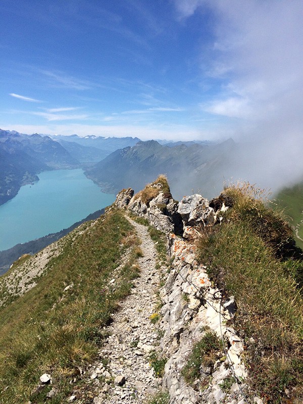 Auf dem Höch Gumme mit Blick auf den türkisblauen Brienzersee.
Bilder: Simon Guldimann