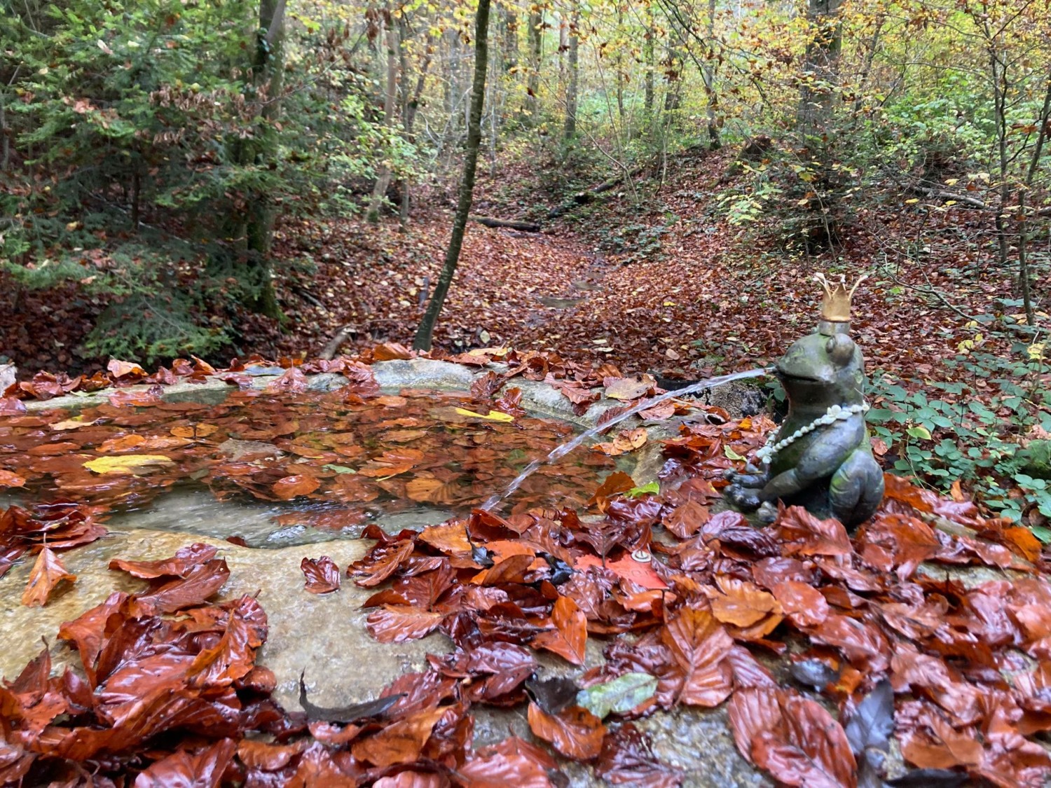 À Gockhausen, un prince au milieu des bois.