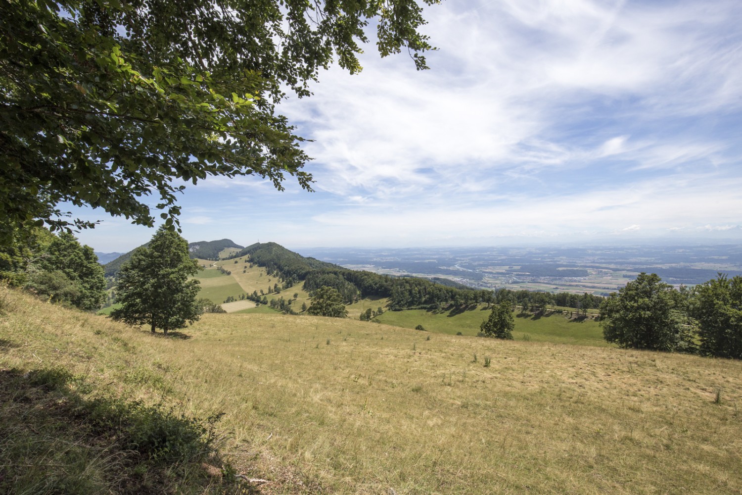 A Hofbergli, le chemin quitte la crête pour mener les randonneuses et randonneurs à la suivante, entre Höch-Chrütz et Bättlerchuchi. Photo: Daniel Fleuti