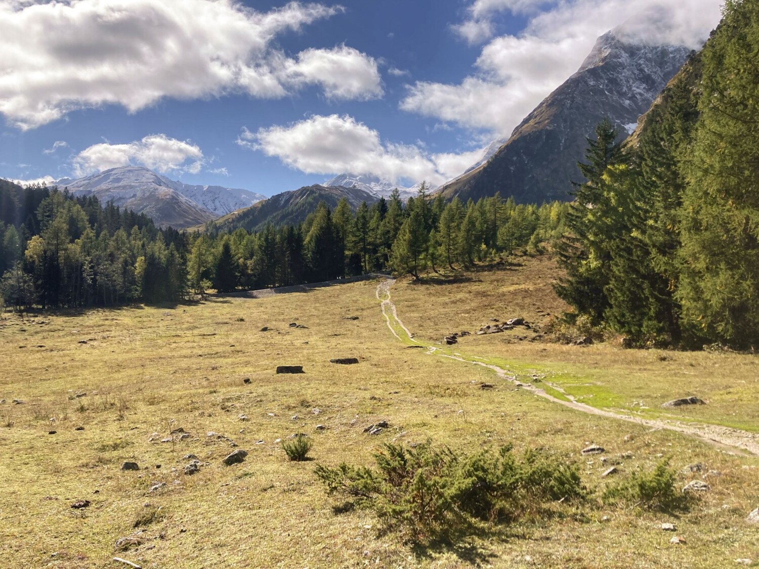 Weiden und Wald wechseln sich auf der Wanderung ab.