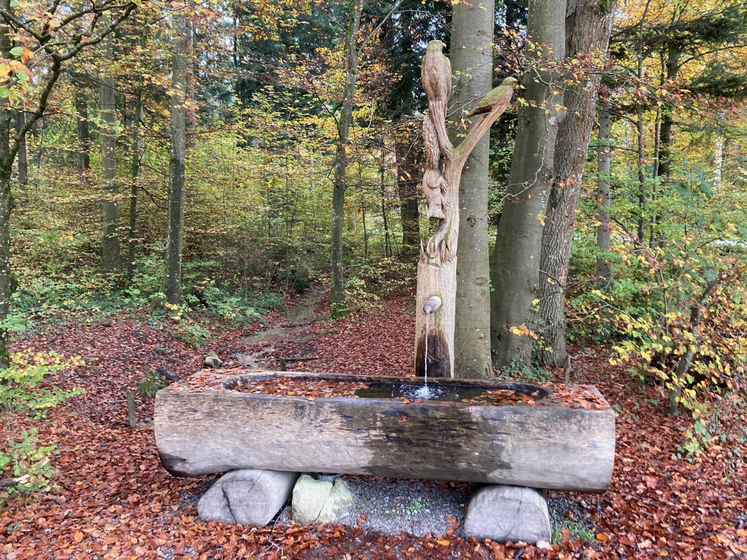 Une fontaine dans la forêt à Gockhausen