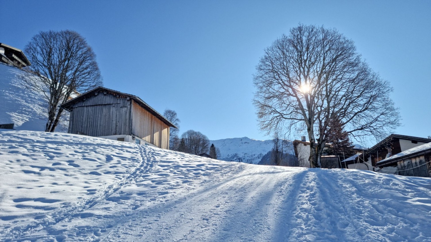 À Mura, le soleil brille à travers les arbres dégarnis.