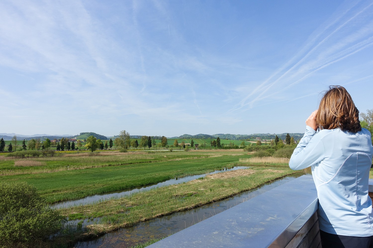 Vom Beobachtungsturm sieht man auf das Reservat Wauwilermoos hinab.
Bild: M. Zimmermann
