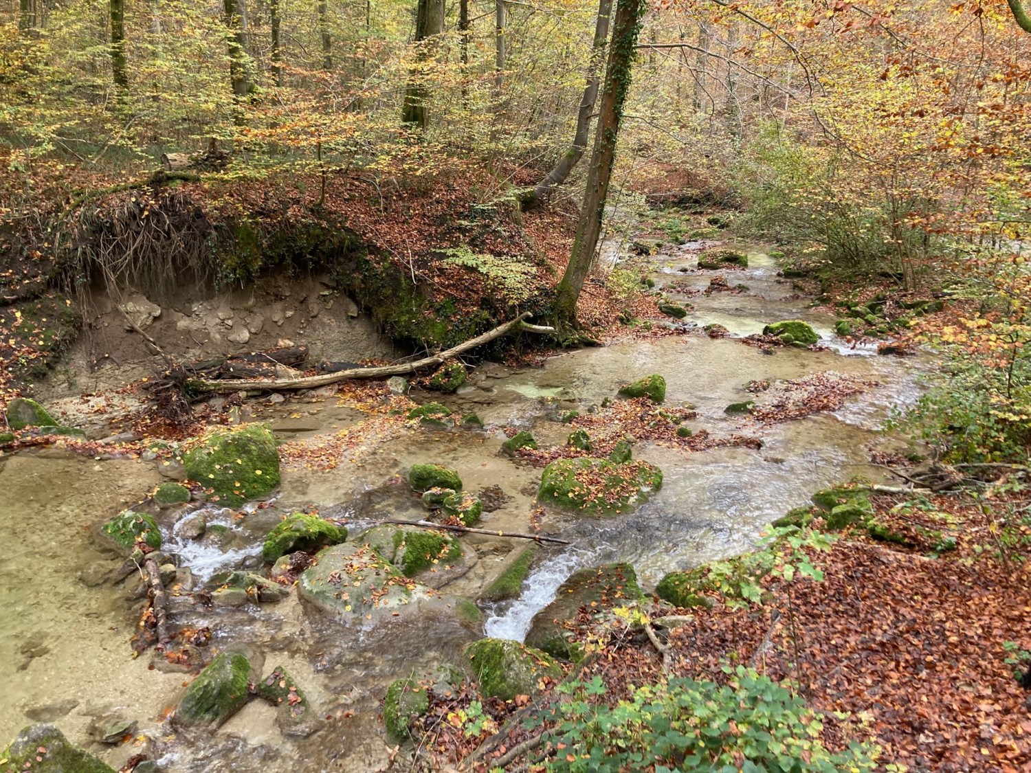 Le Wehrenbach