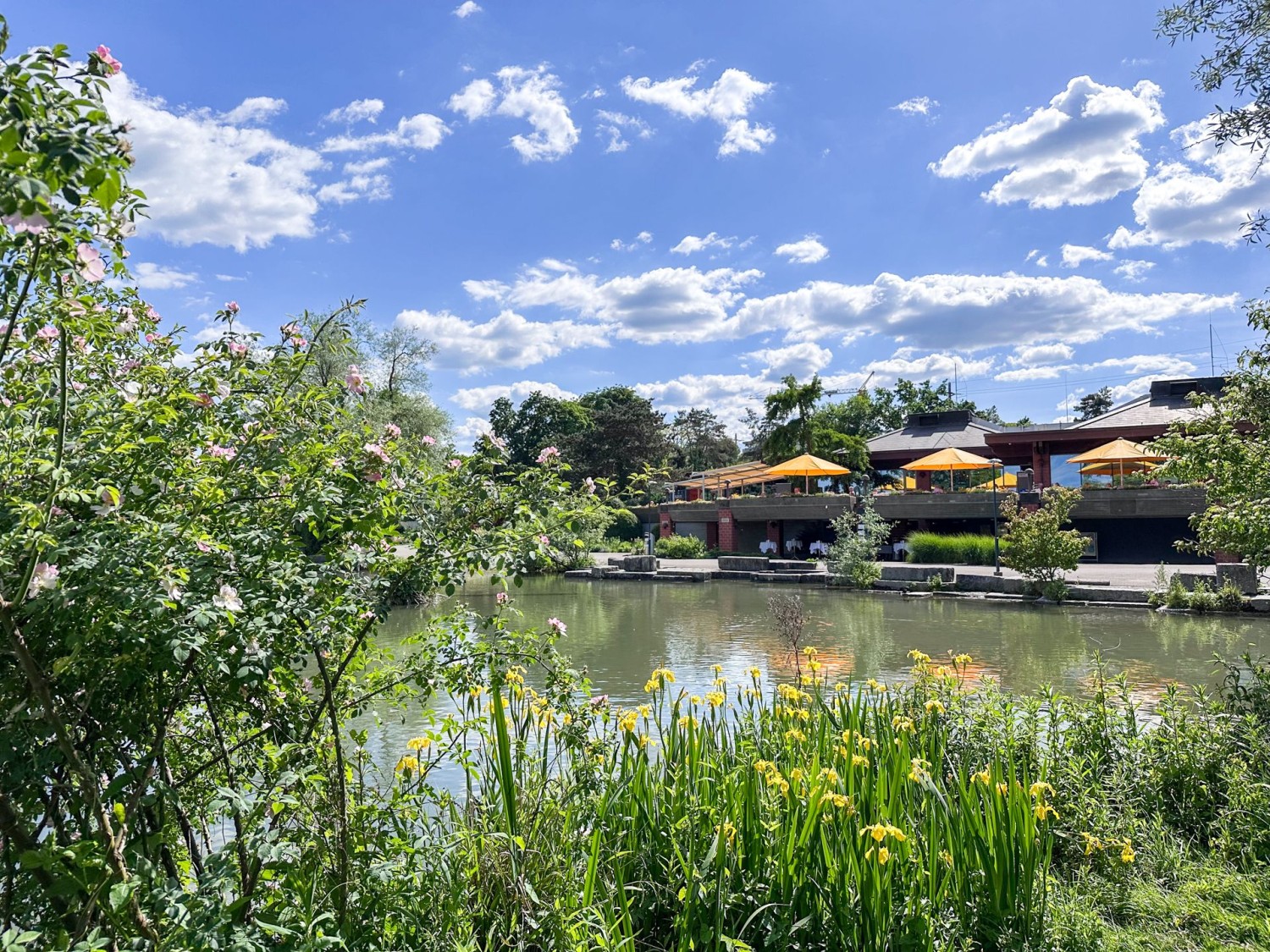Veduta sul ristorante Seegarten nel Park im Grünen.