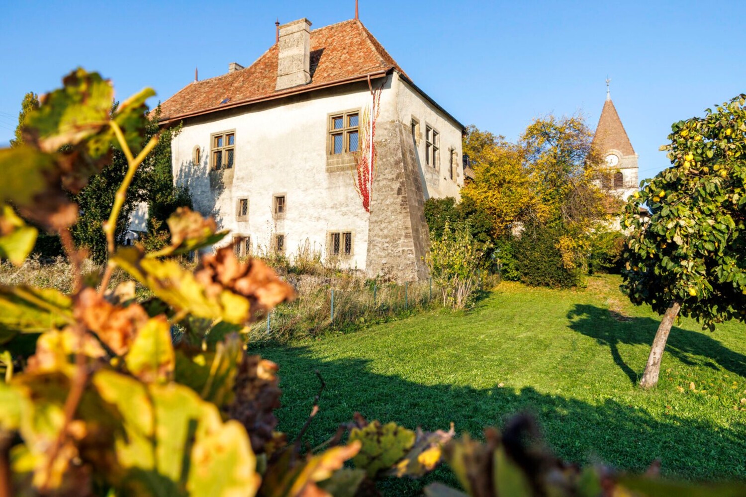 Das Maison forte und die Kirche von Bursins.