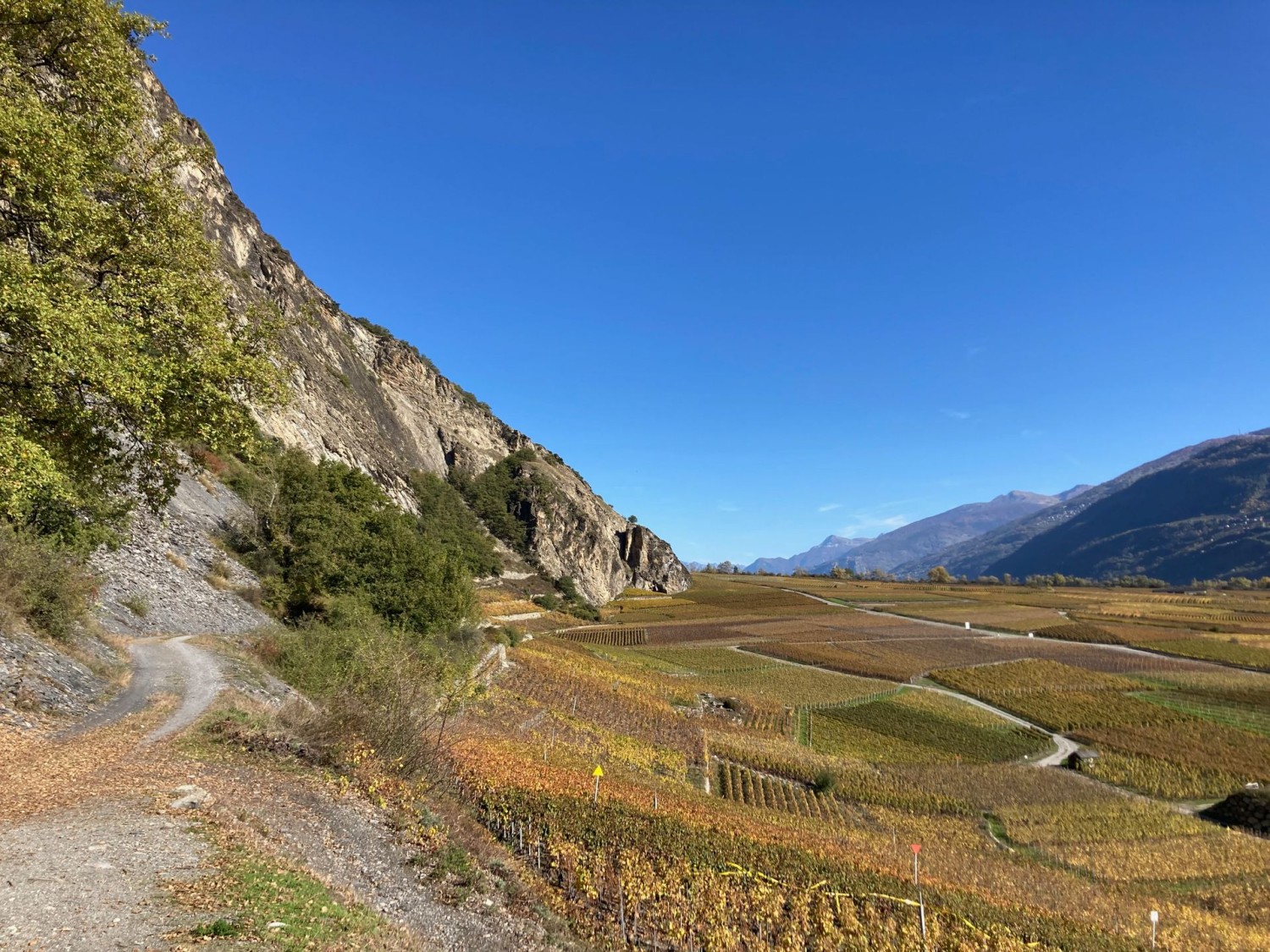 Vue sur la vallée du Rhône