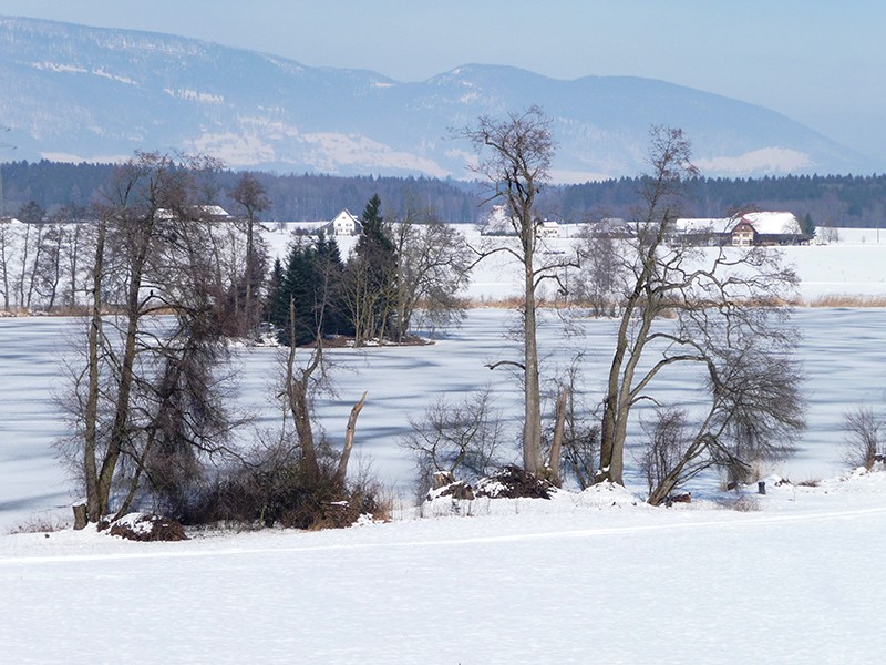 Diese Winterwanderung führt am Inkwilersee vorbei.       
Bild: Uschy Sumi