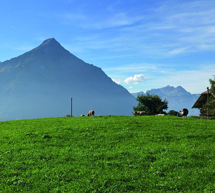 Mächtig trohnt der Niesen über dem Thunersee. 
Bilder: Werner Forrer