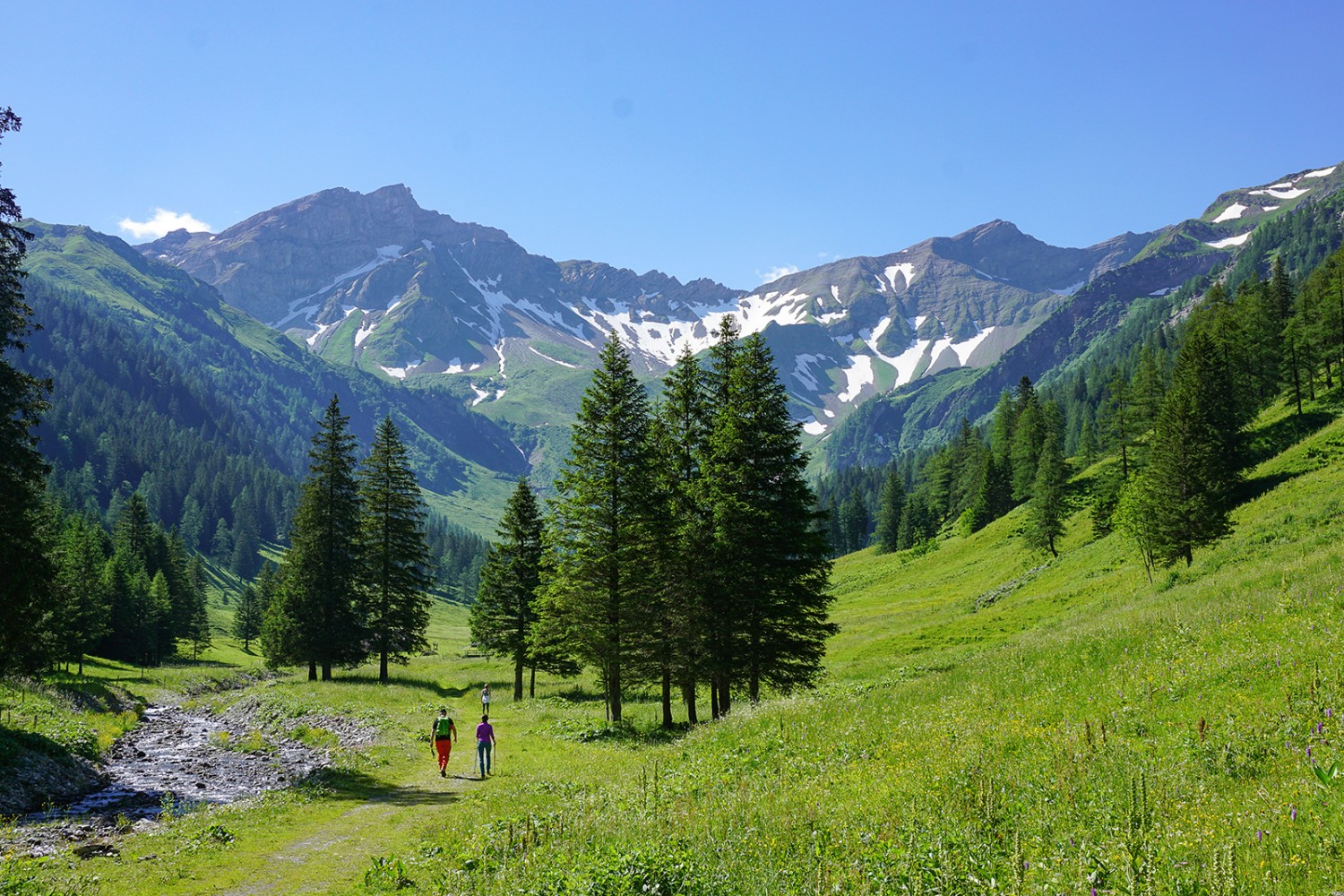 Kurz vor der Alp Valüna. Bilder: Sabina Brack