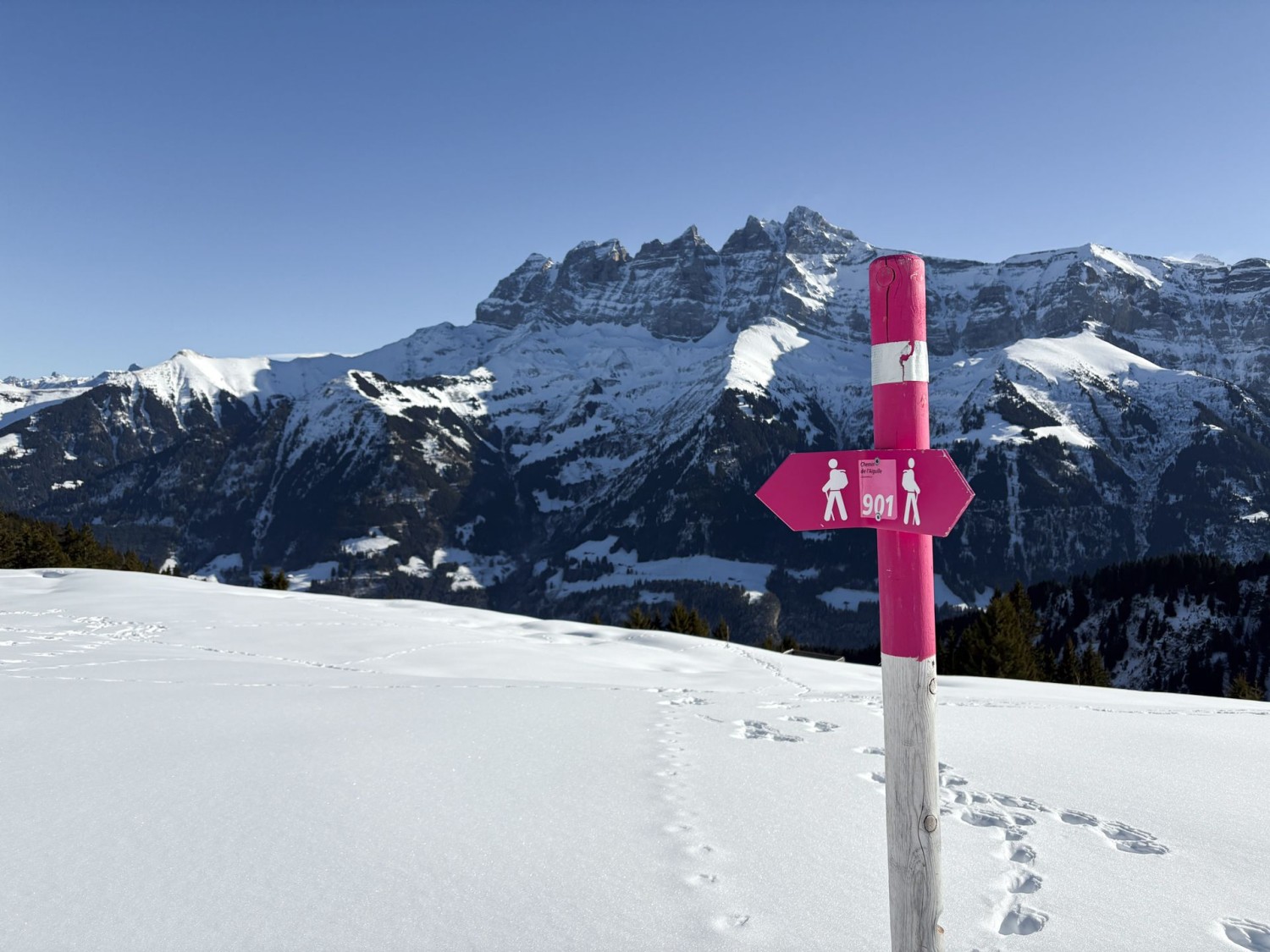 Les Dents du Midi, visibles tout au long de cette randonnée hivernale.