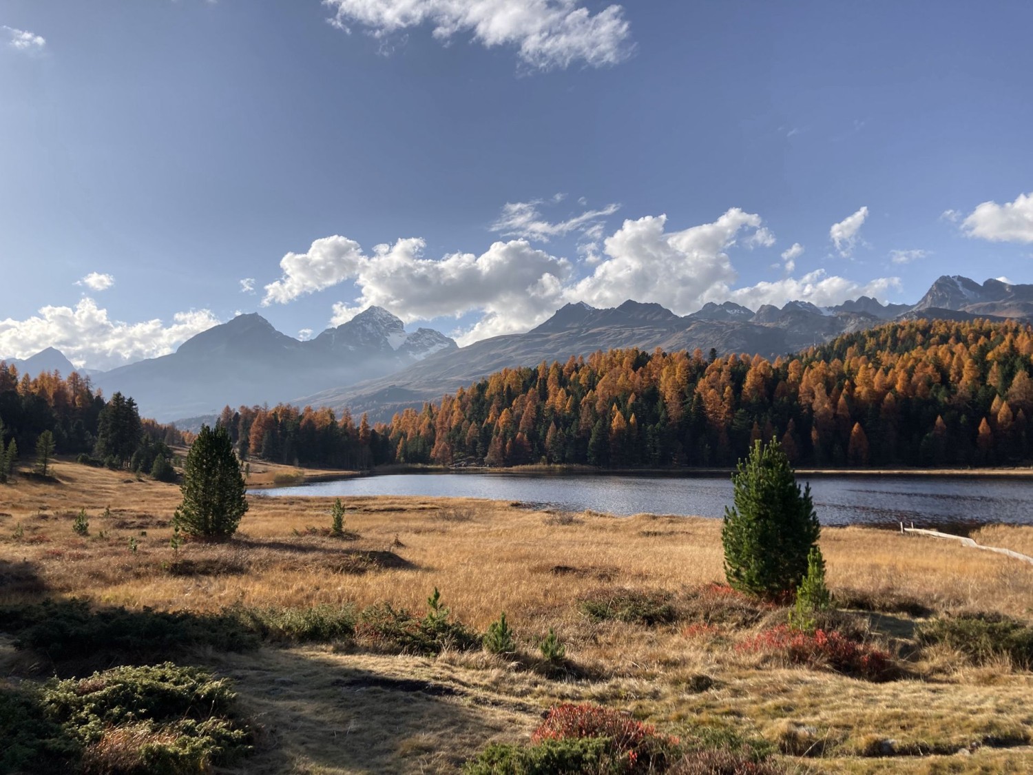 L’automne dans le Stazerwald