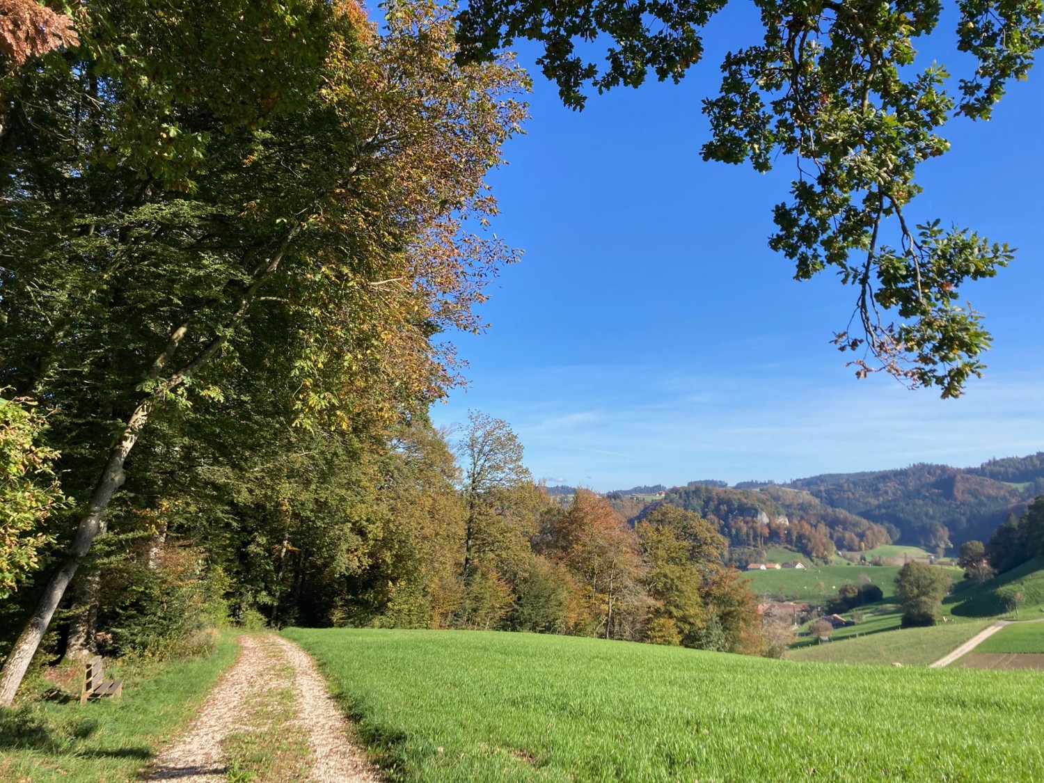 Chemin faisant en direction de Krauchthal