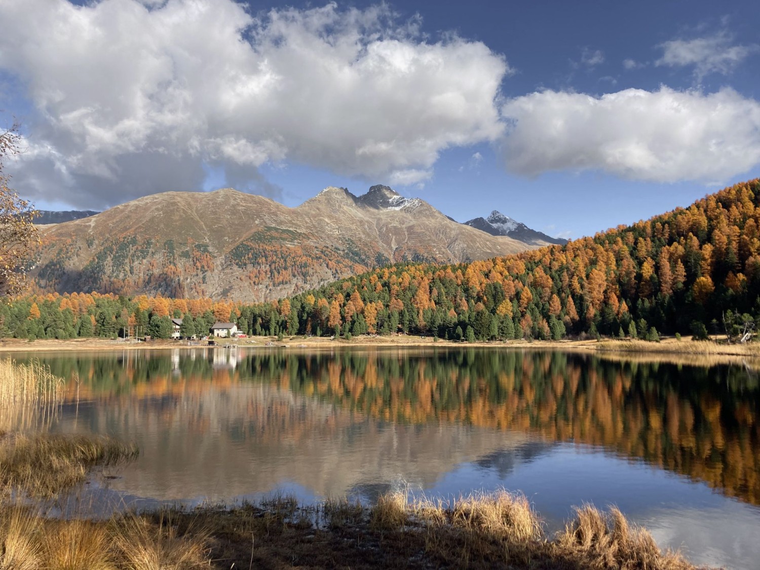 Vue en direction de Pontresina avec le Piz Muragl et le Piz Languard
