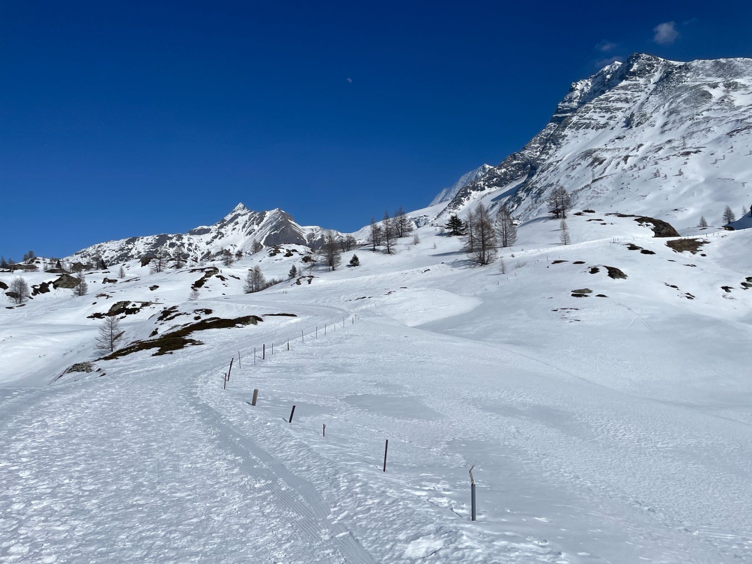 Angenehm abwärts geht es zu Beginn der Wanderung.