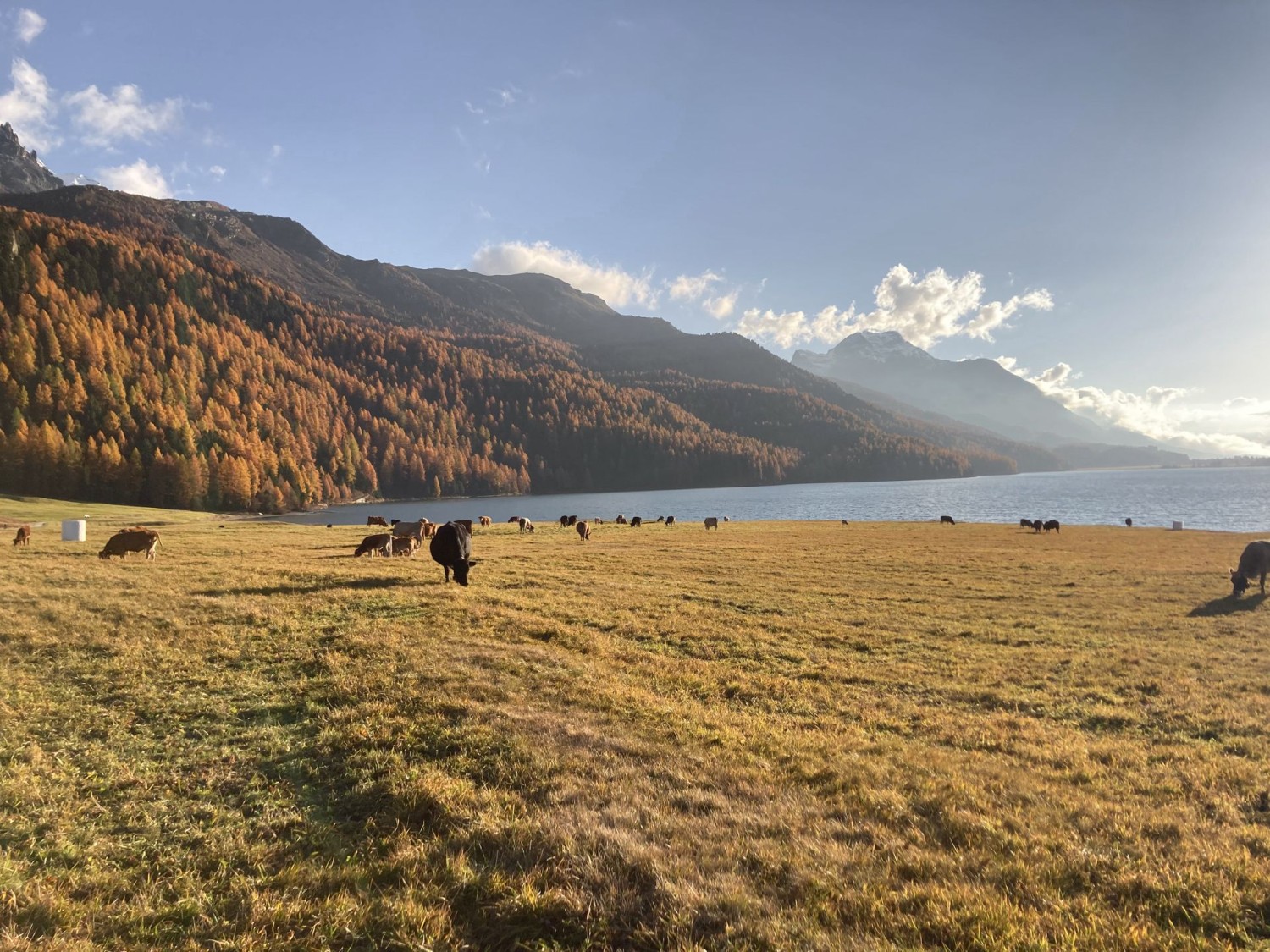 Sils se trouve à l’autre extrémité du lac de Silvaplana.
