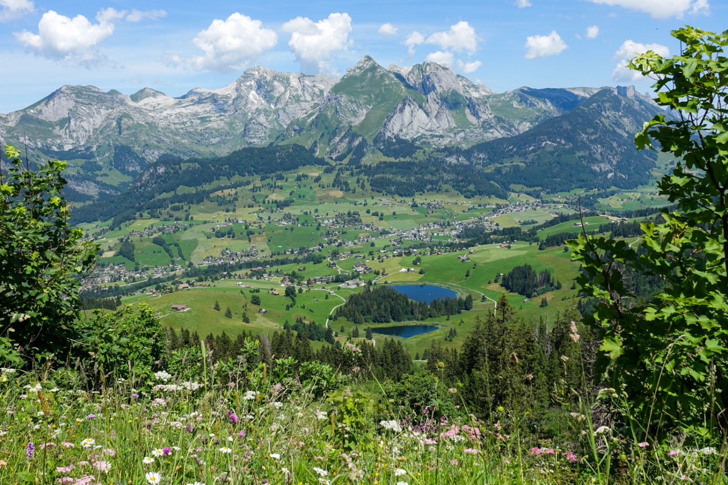 Durch Alpweiden geht es voran, mit Blick hinunter zu den Schwendiseen. Bild: Christiana Sutter