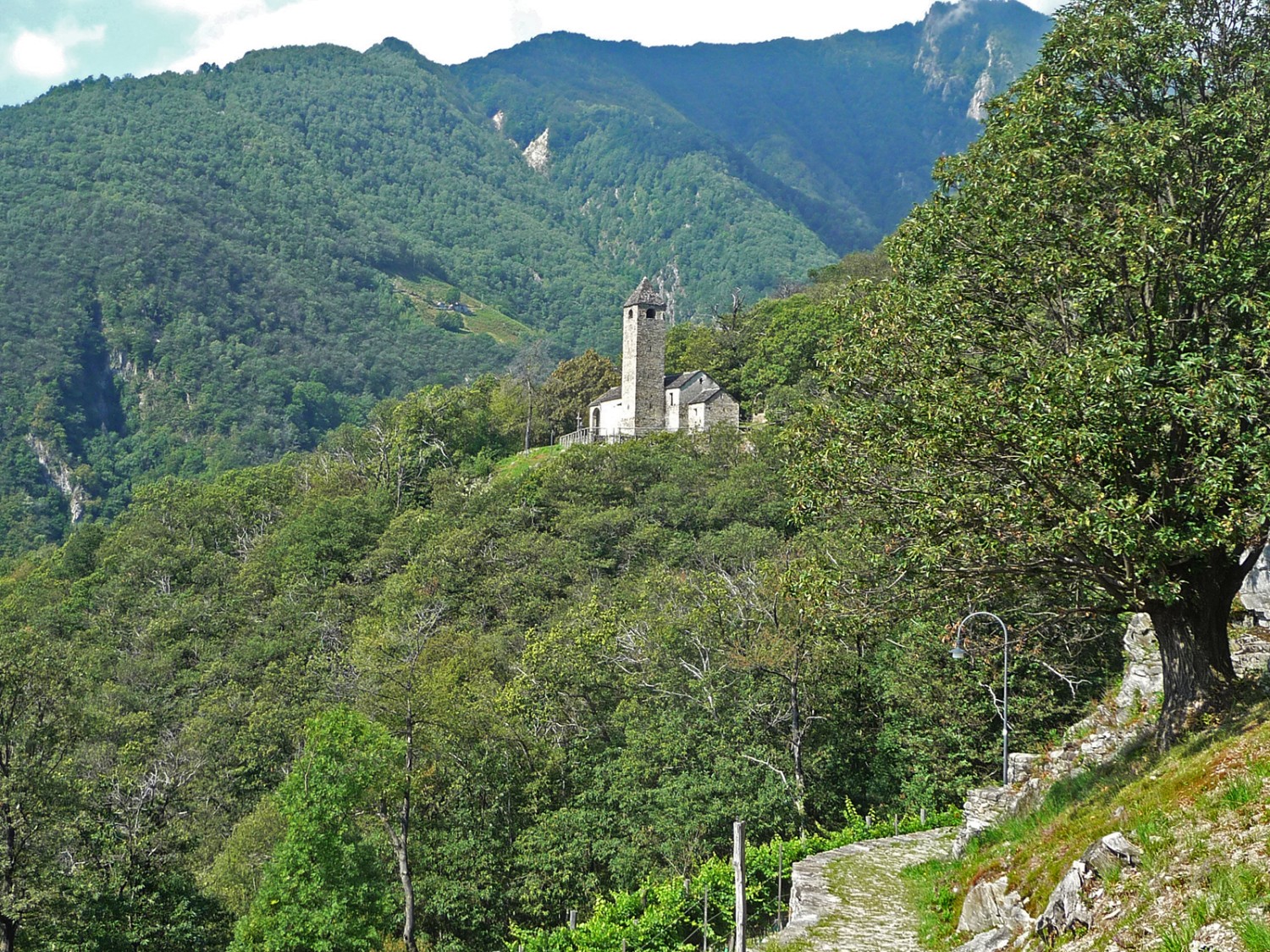 Blick zur Kirche San Bernardo