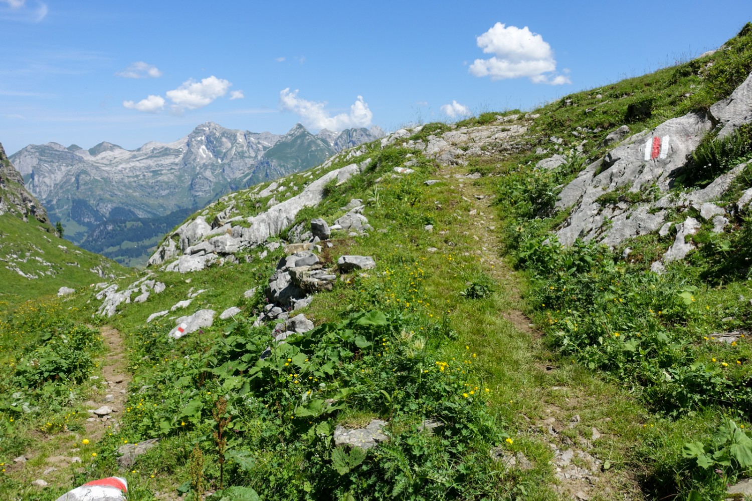 Der Blick fällt zurück auf Säntis und Schafberg. Bild: Christiana Sutter