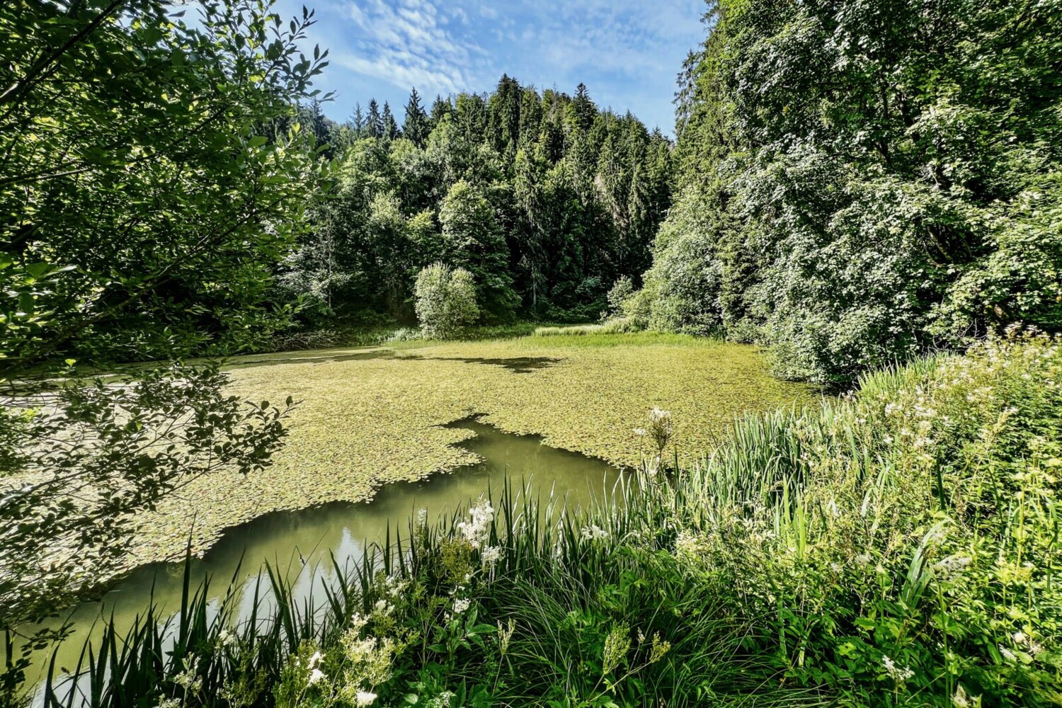 Dem Lauf des Tabeillon entlang