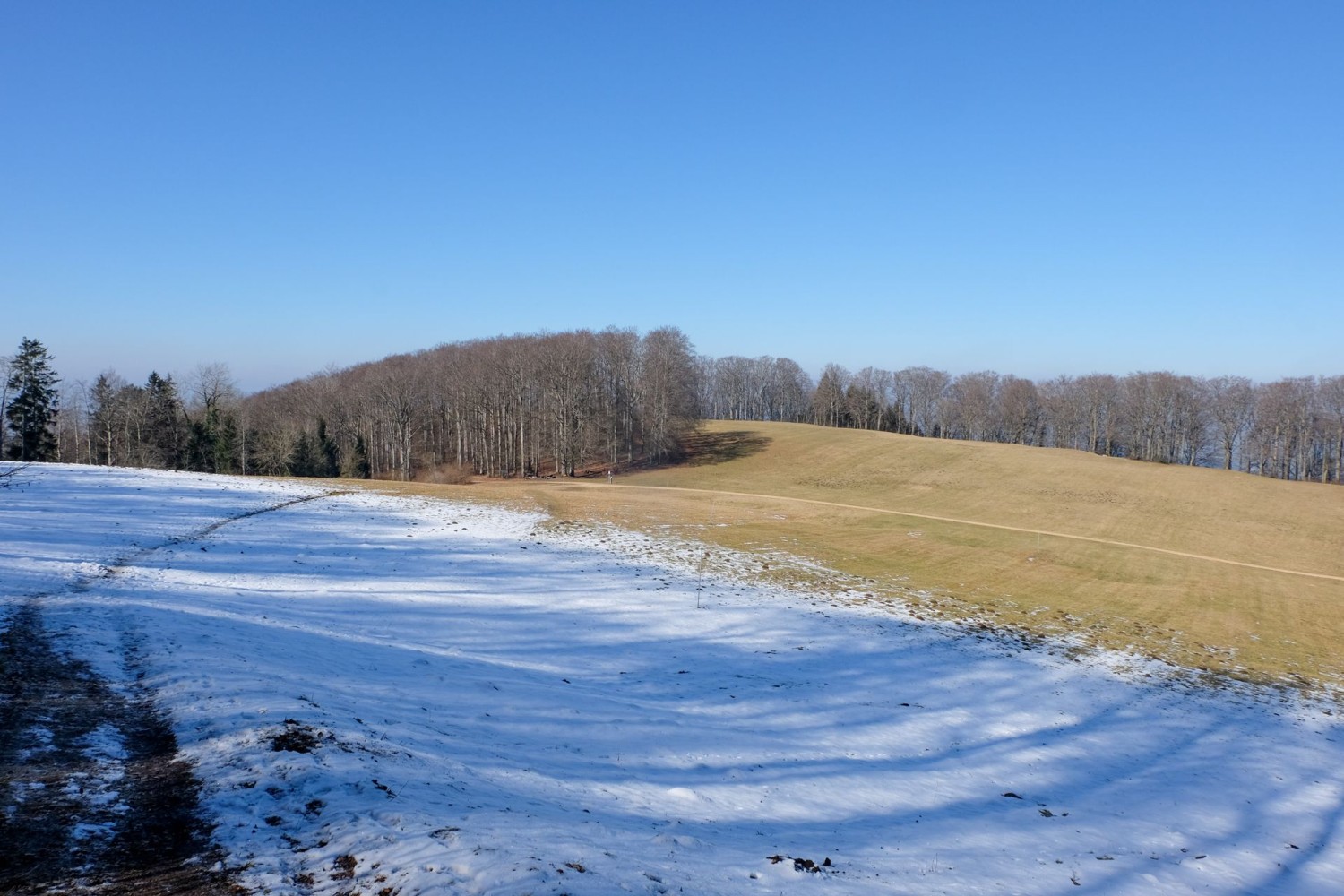 Peu après Hasmatt, on gravit sur le chemin de randonnée le dernier dénivelé jusqu’au Wiseberg.