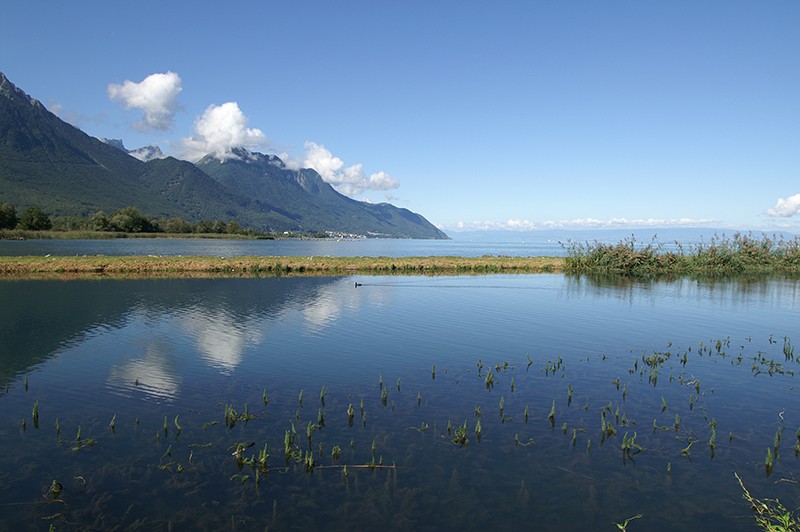 C'est là que le Grand Canal rejoint le lac Léman.
Photo: Suisse Rando, J.I.
