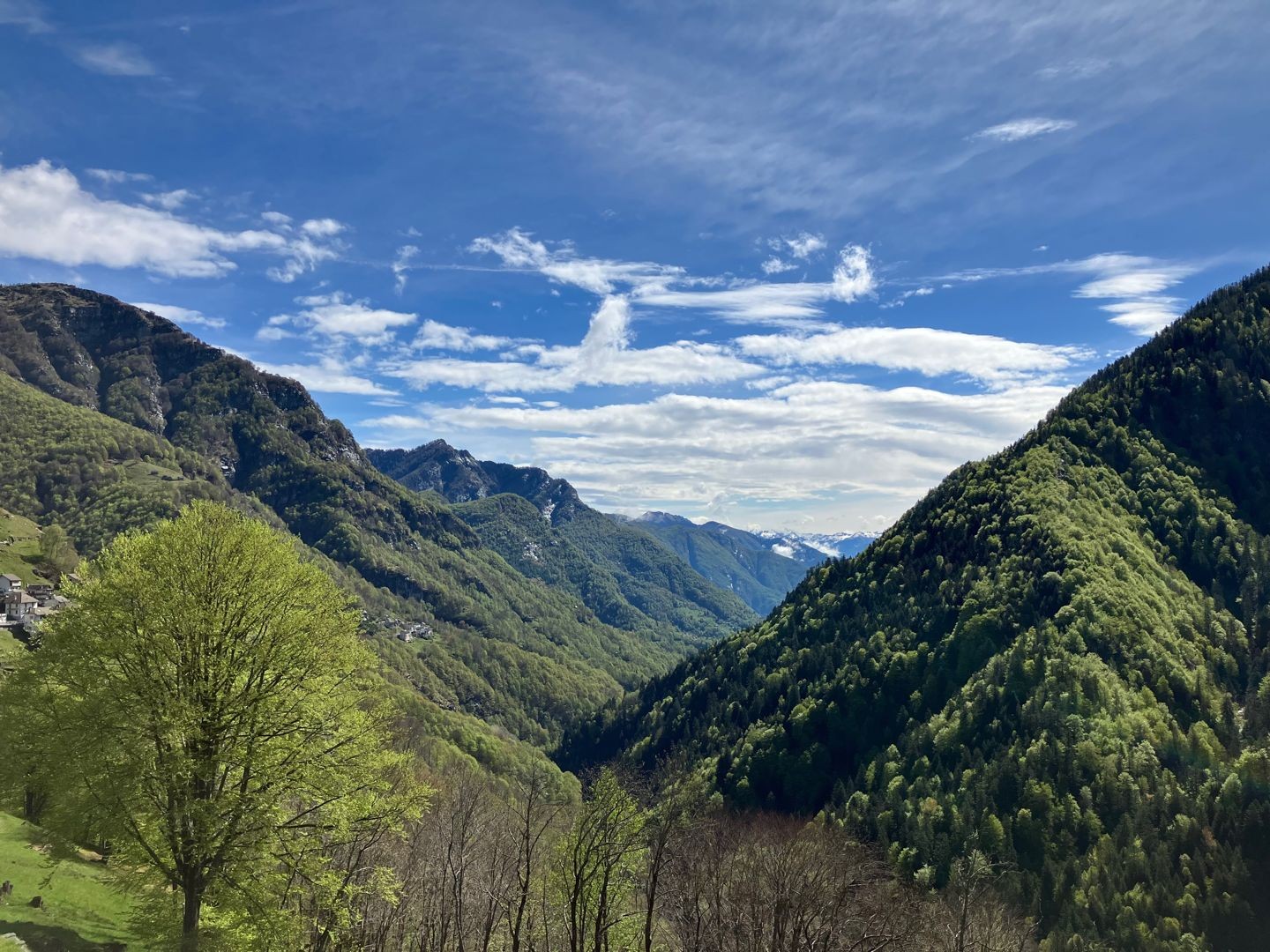 Grenzwandern in der Wildnis des Onsernonetals