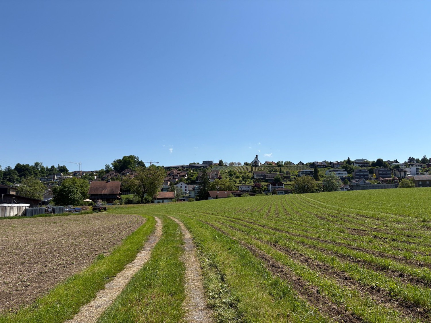 Un chemin de campagne traverse la plaine agricole de la Reuss. En arrière-plan, Hünenberg