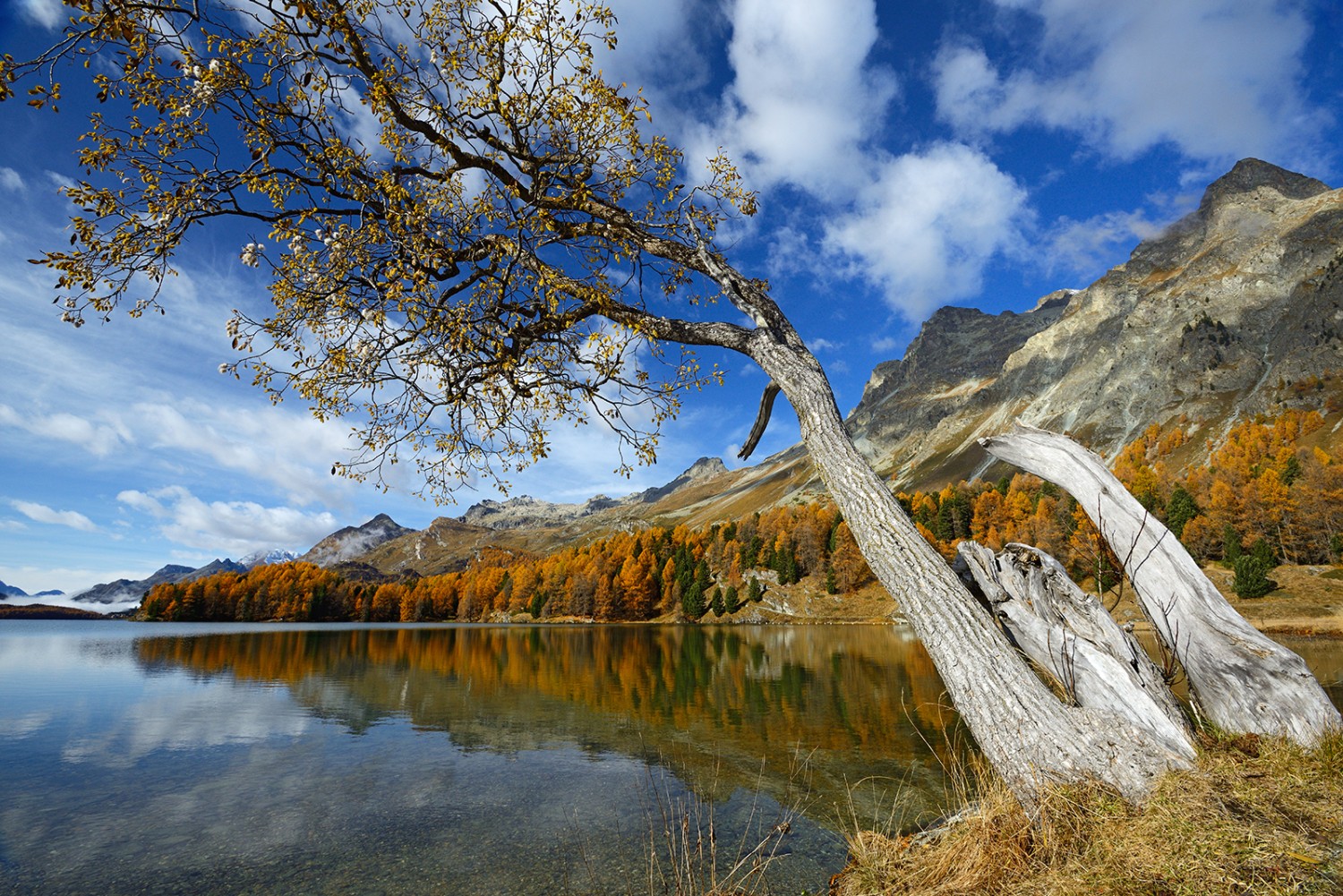 Depuis la rive est du lac de Sils, on aperçoit la presqu’île Chastè.
Photo: natur-welten.ch